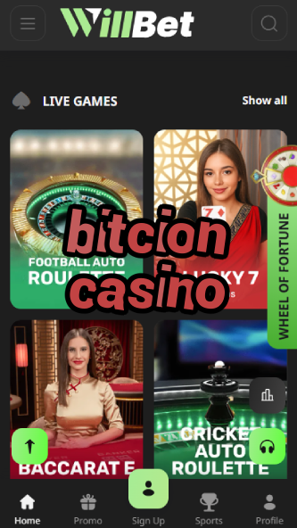 Bitcion Casino - Top Bitcoin Casino-www.bdqngd.com